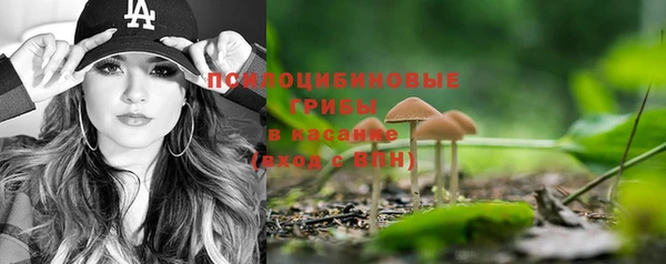 молекула духа Балабаново