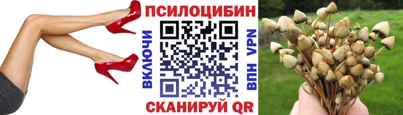 наркотики  МЕГА ТОР  Галлюциногенные грибы Cubensis  маркетплейс какой сайт  Куртамыш 
